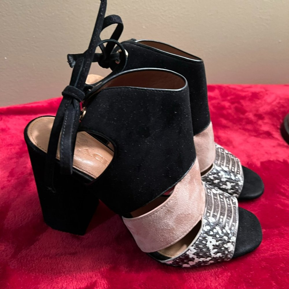 Coach Minetta Land Snake/Suede Heels